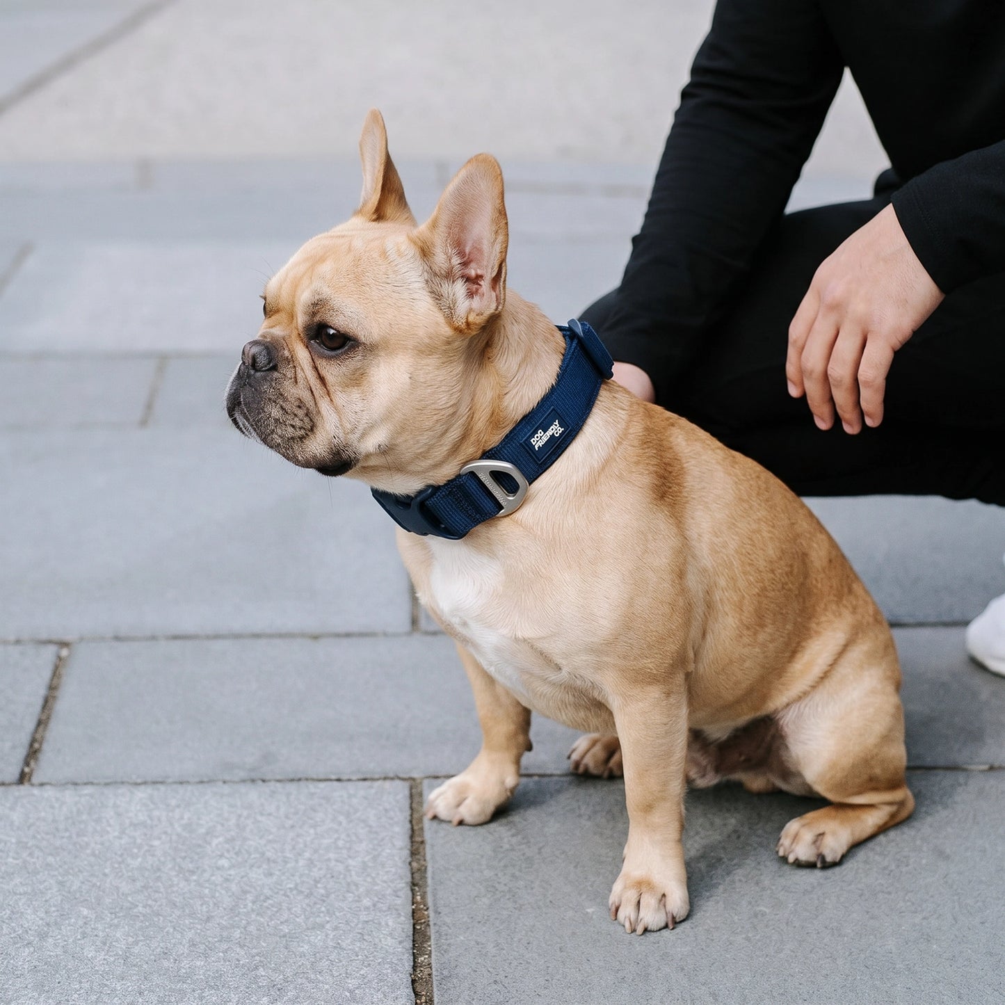 Essentials Collar - Navy Blue