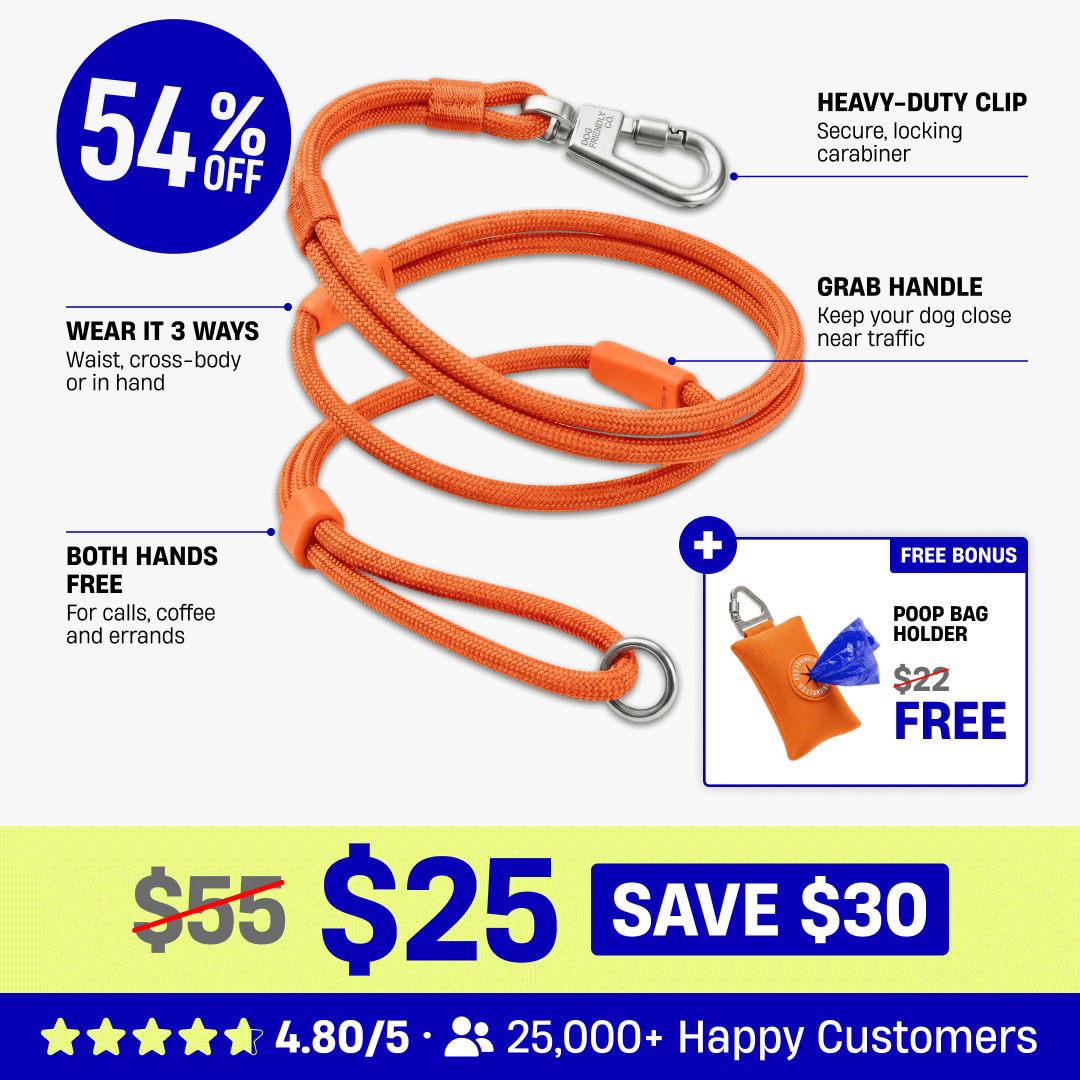Hands Free Leash + Poop Bag Holder