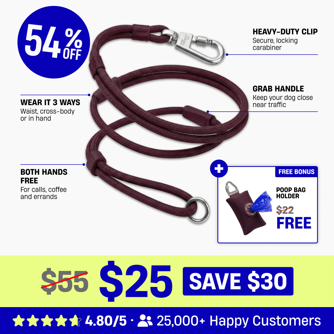 Hands Free Leash + Poop Bag Holder