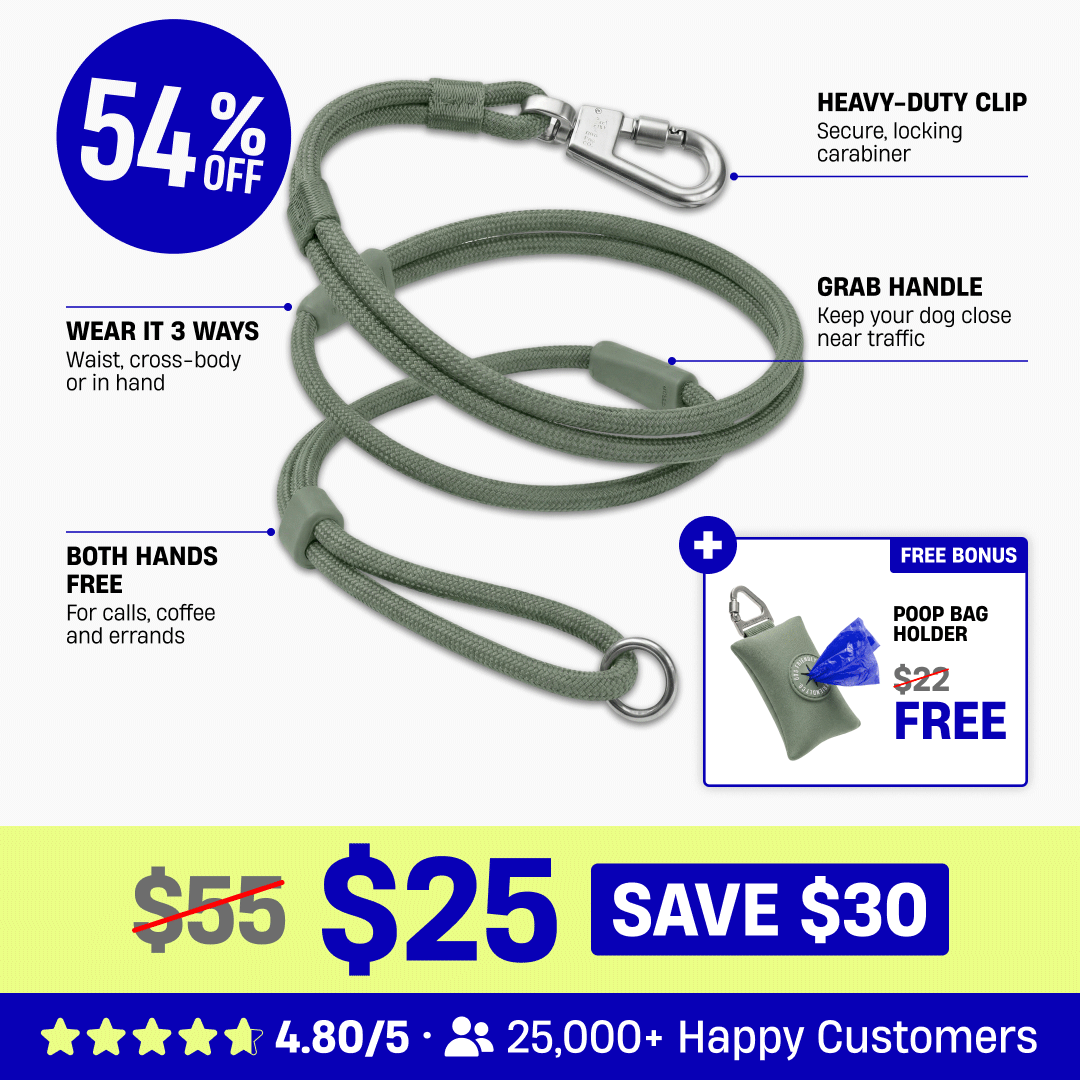 Hands Free Leash + Poop Bag Holder