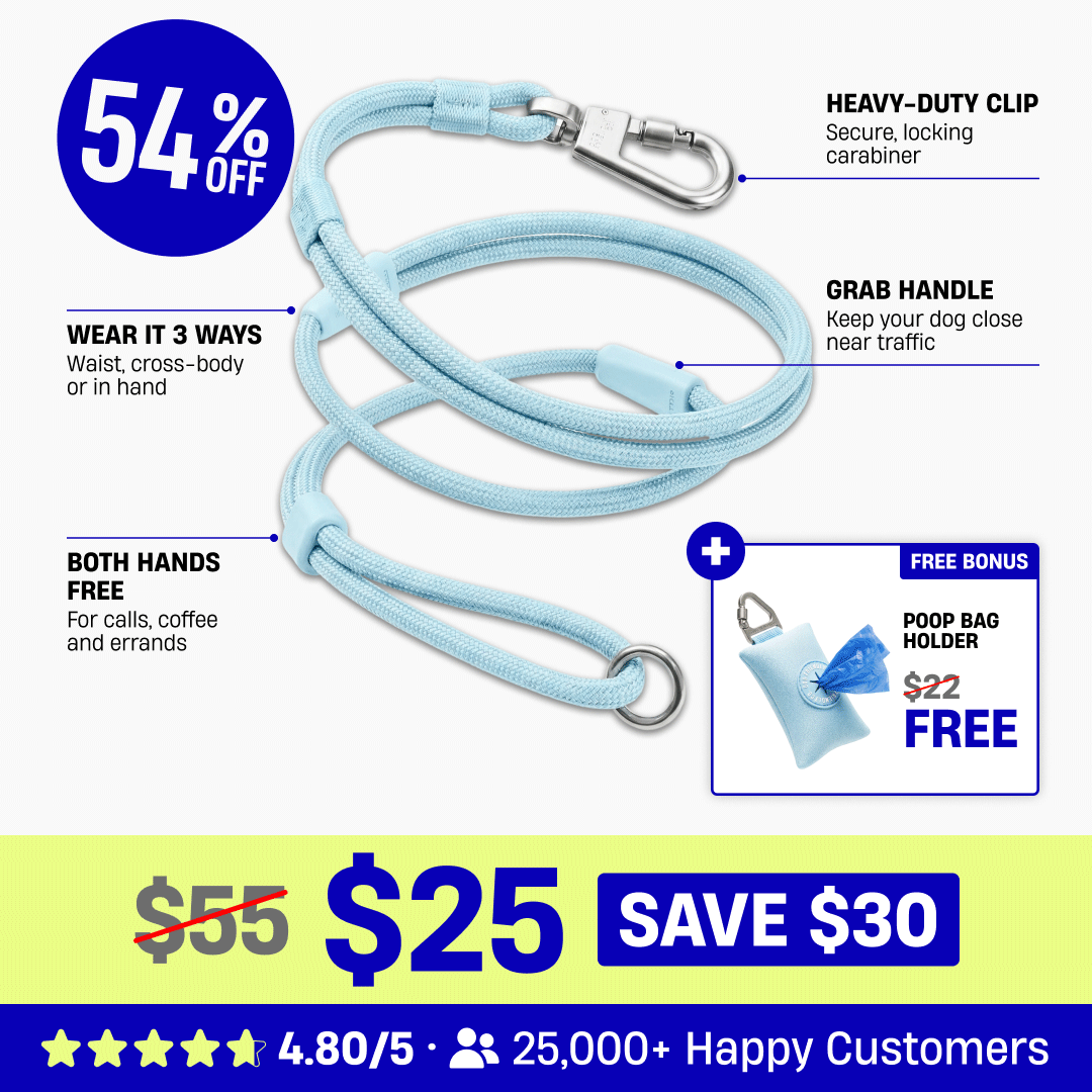 Hands Free Leash + Poop Bag Holder