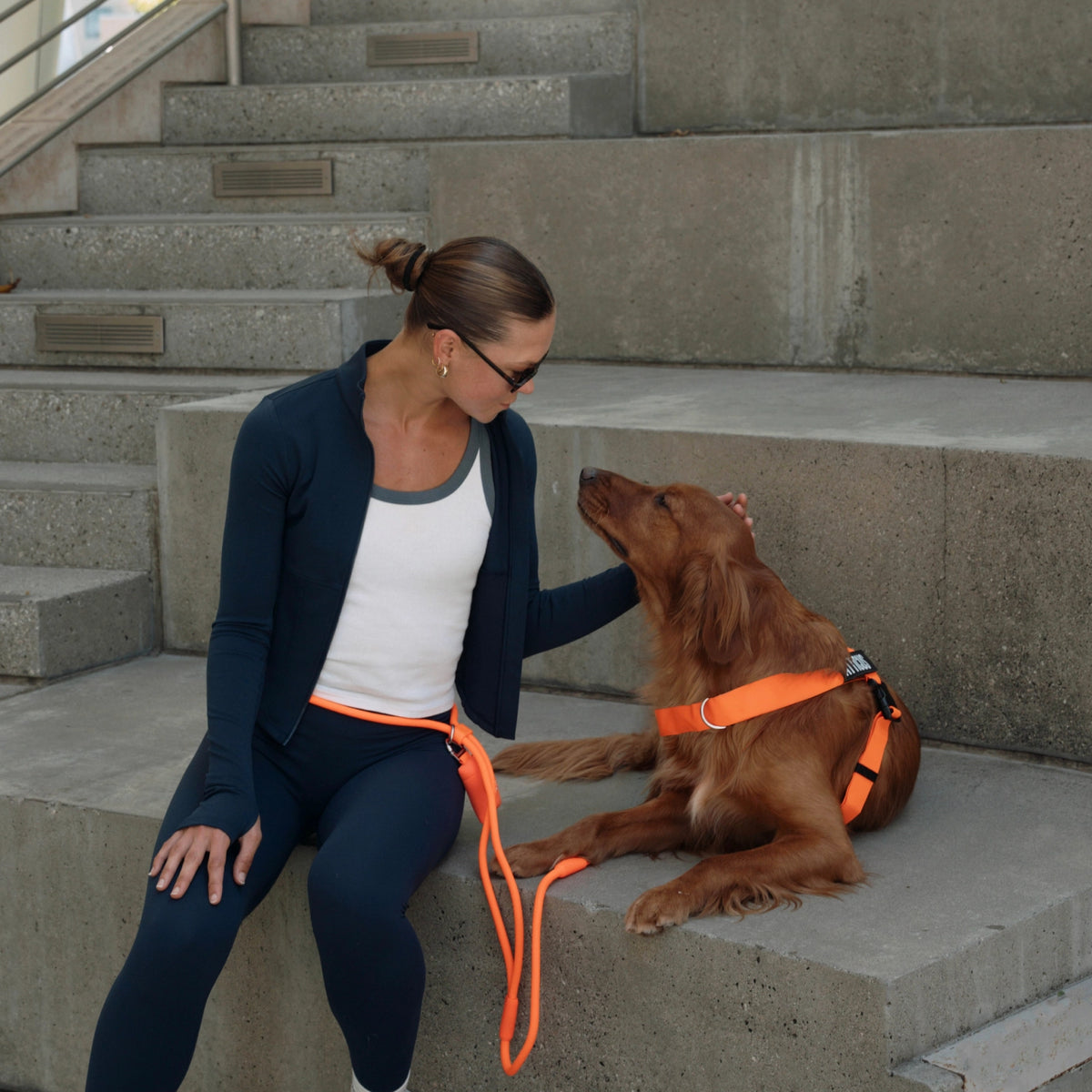 Dog owner wearing the Orange hands-free leash around the waist while sitting beside a brown dog wearing an orange harness.