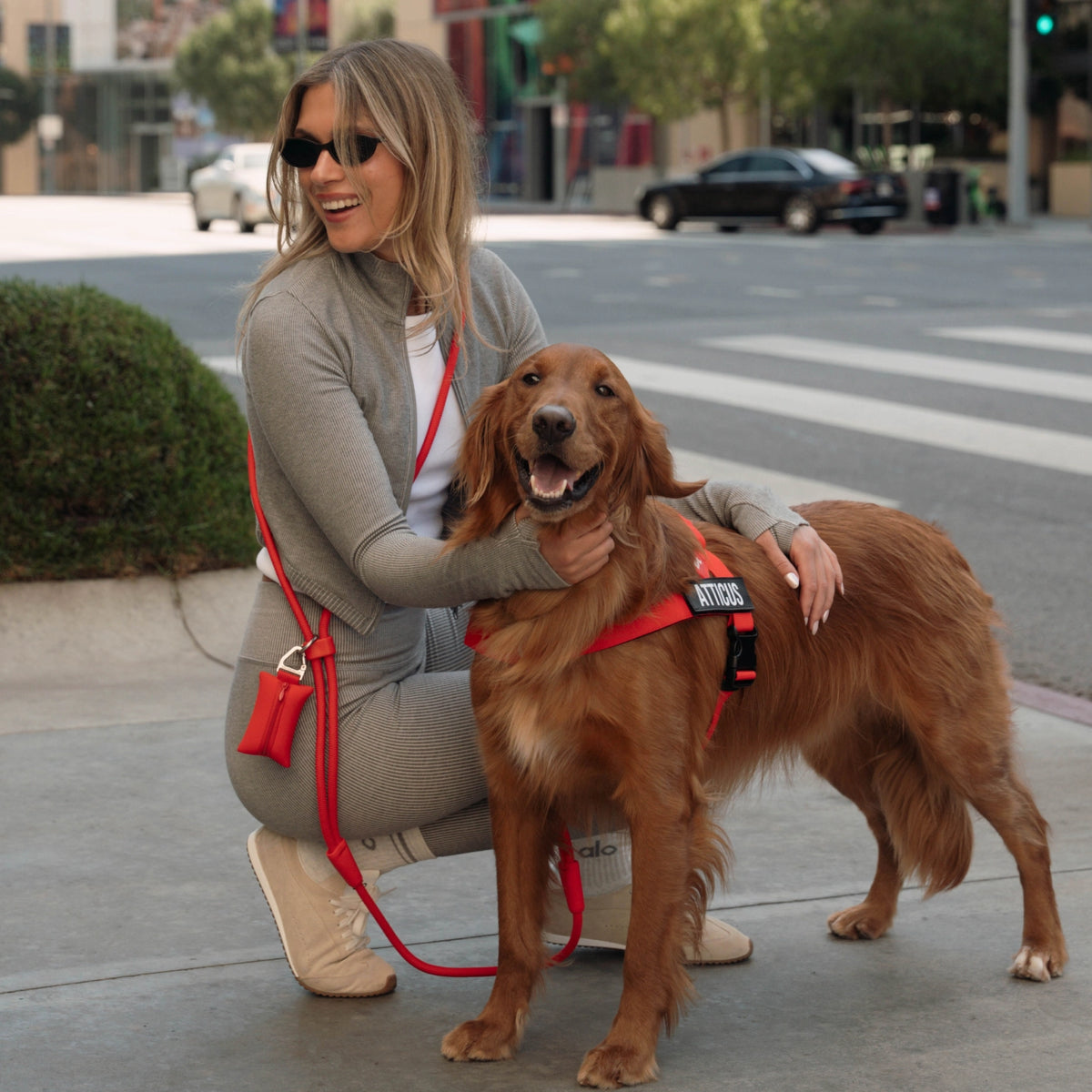 Dog owner wearing the Red hands-free leash across the body while standing beside a brown dog wearing a red harness.