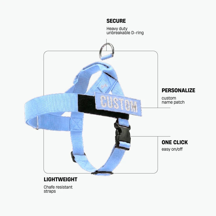 Air 7AM Club harness. Secure: heavy-duty unbreakable D-ring. Personalize: custom name patch. One click: easy on and off. Lightweight: chafe-resistant straps.