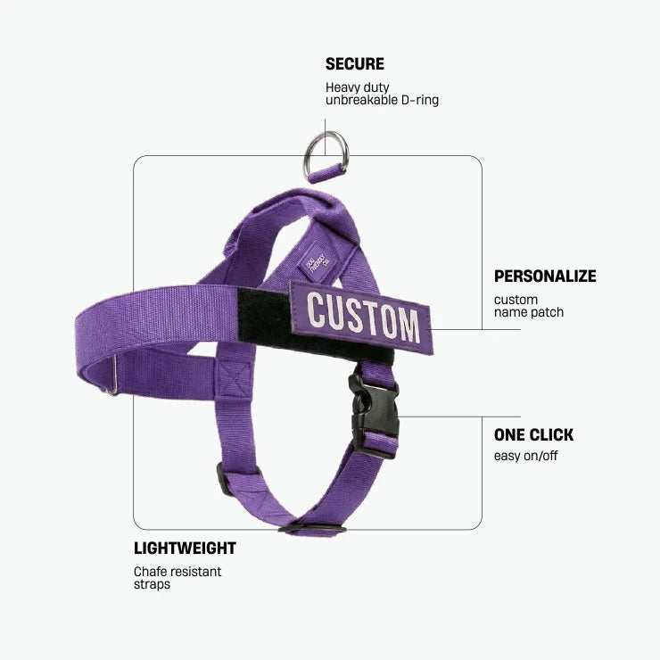 Indigo 7AM Club harness. Secure: heavy-duty unbreakable D-ring. Personalize: custom name patch. One click: easy on and off. Lightweight: chafe-resistant straps.