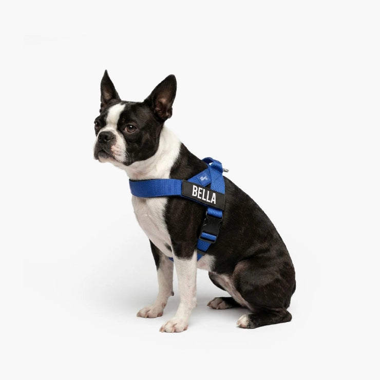 Personalised Dog Harness - Classic Blue