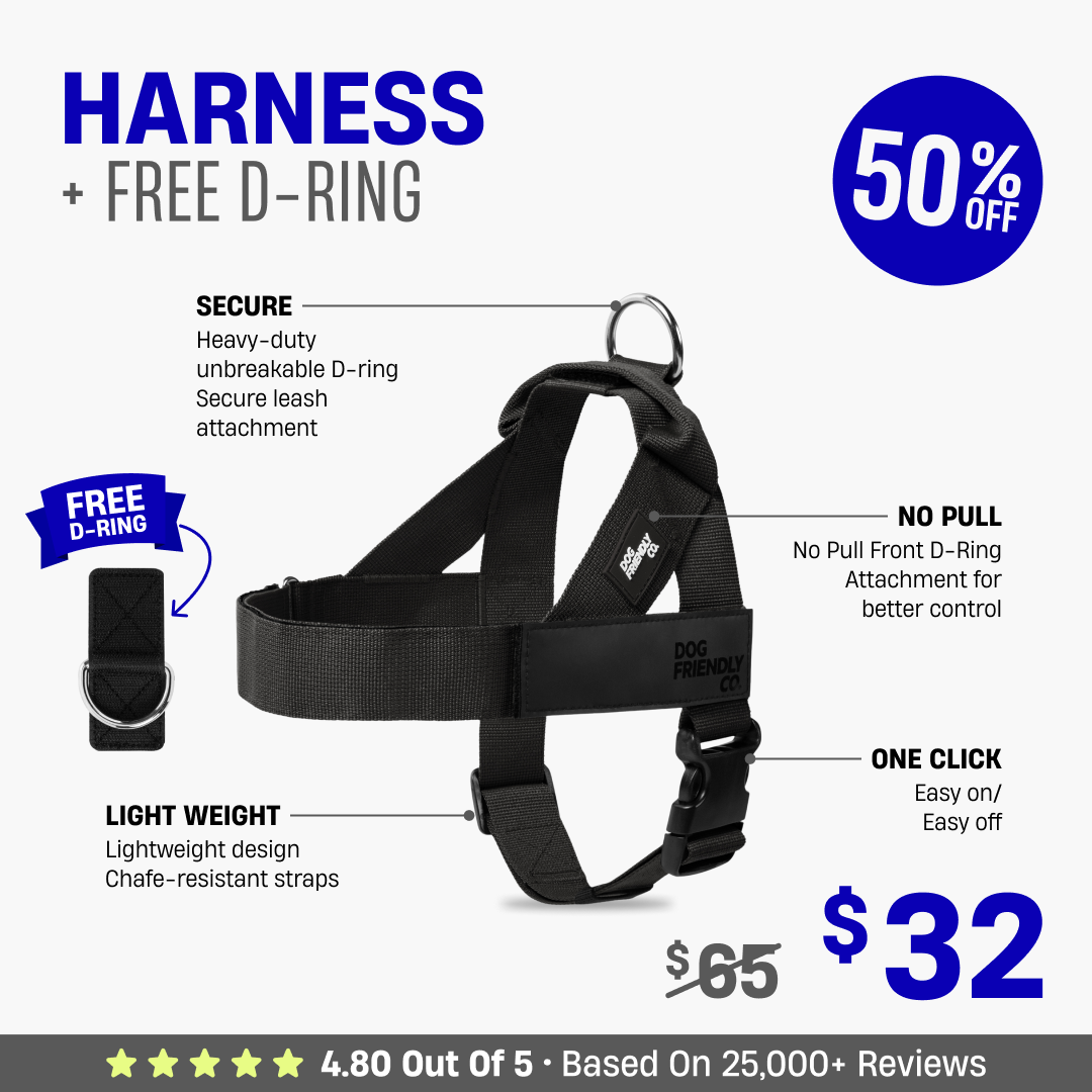 Dog Harness + FREE D-ring - 50% OFF