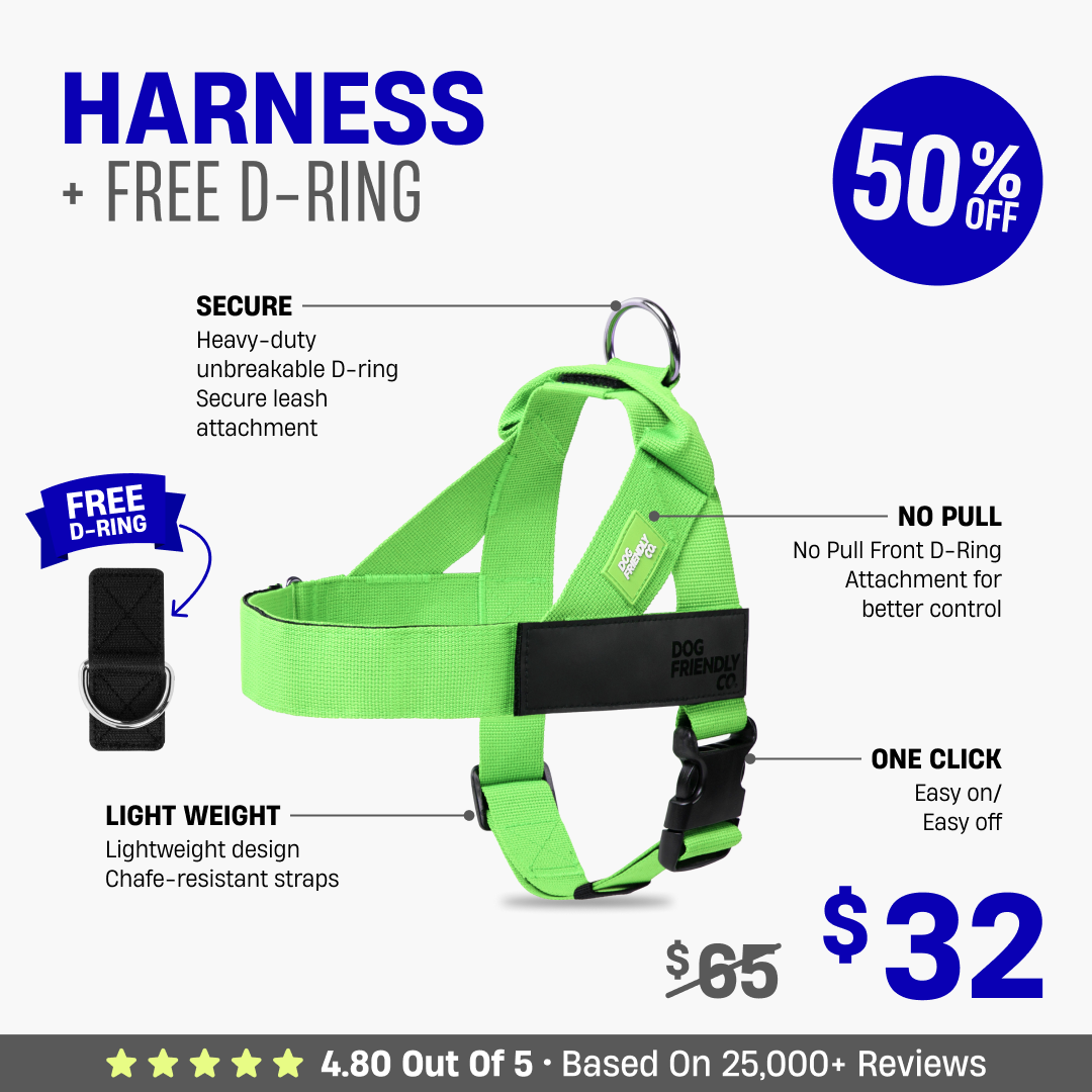 Dog Harness + FREE D-ring - 50% OFF