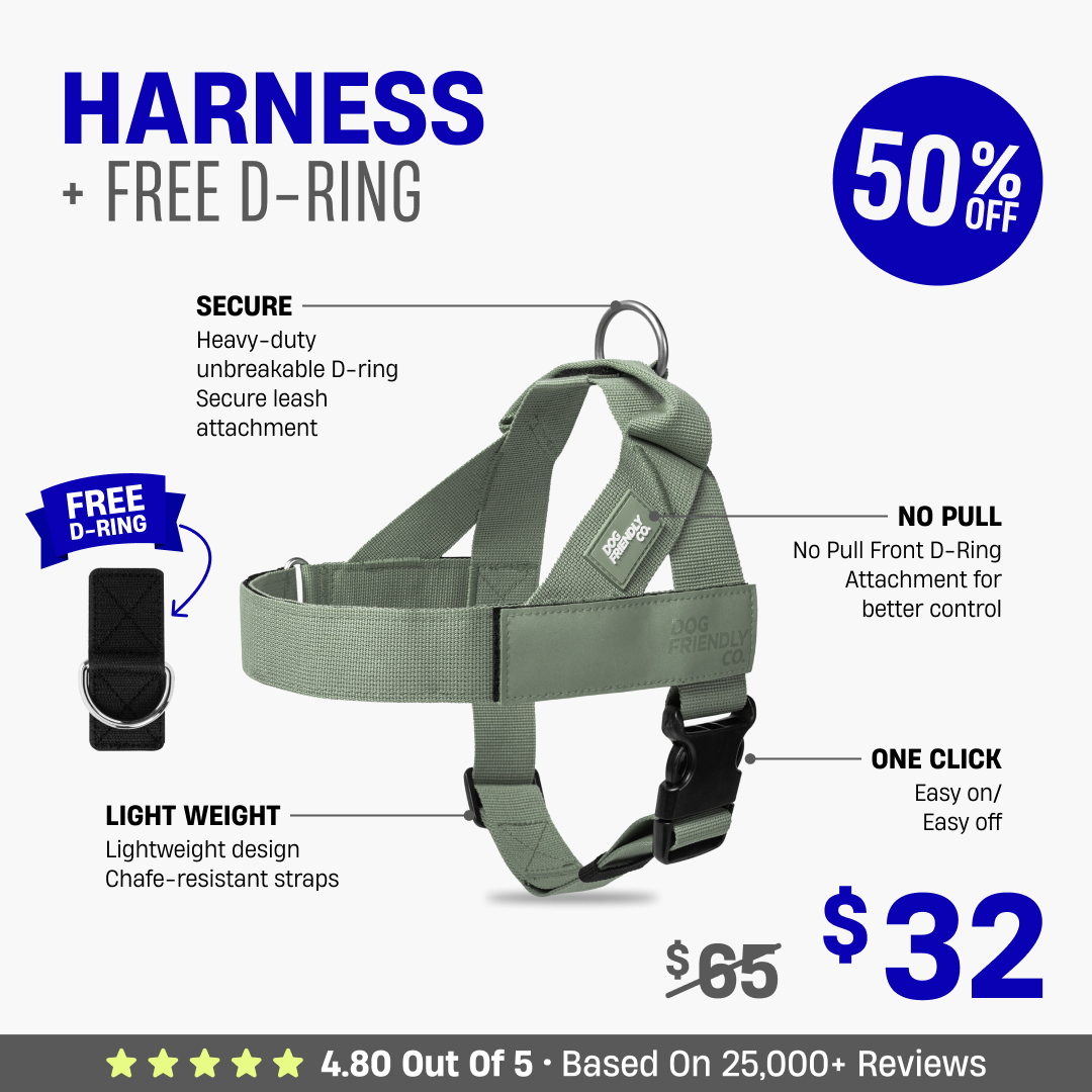 Dog Harness + FREE D-ring - 50% OFF