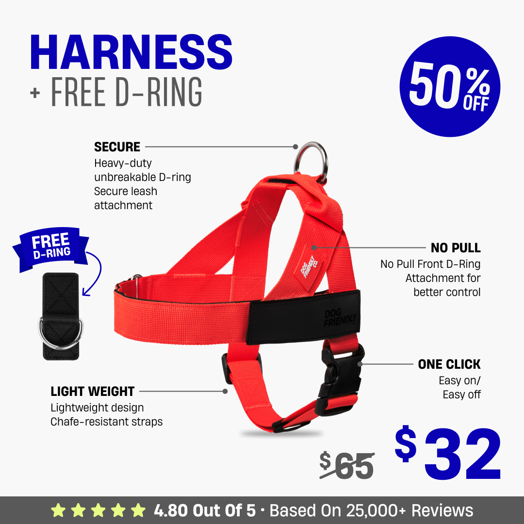 Dog Harness + FREE D-ring - 50% OFF