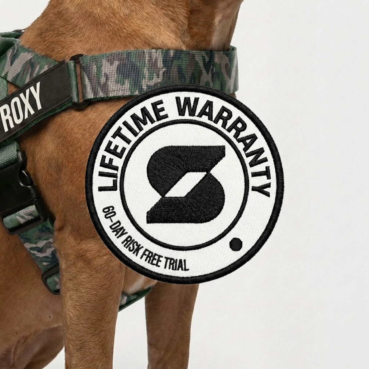 Personalised Dog Harness