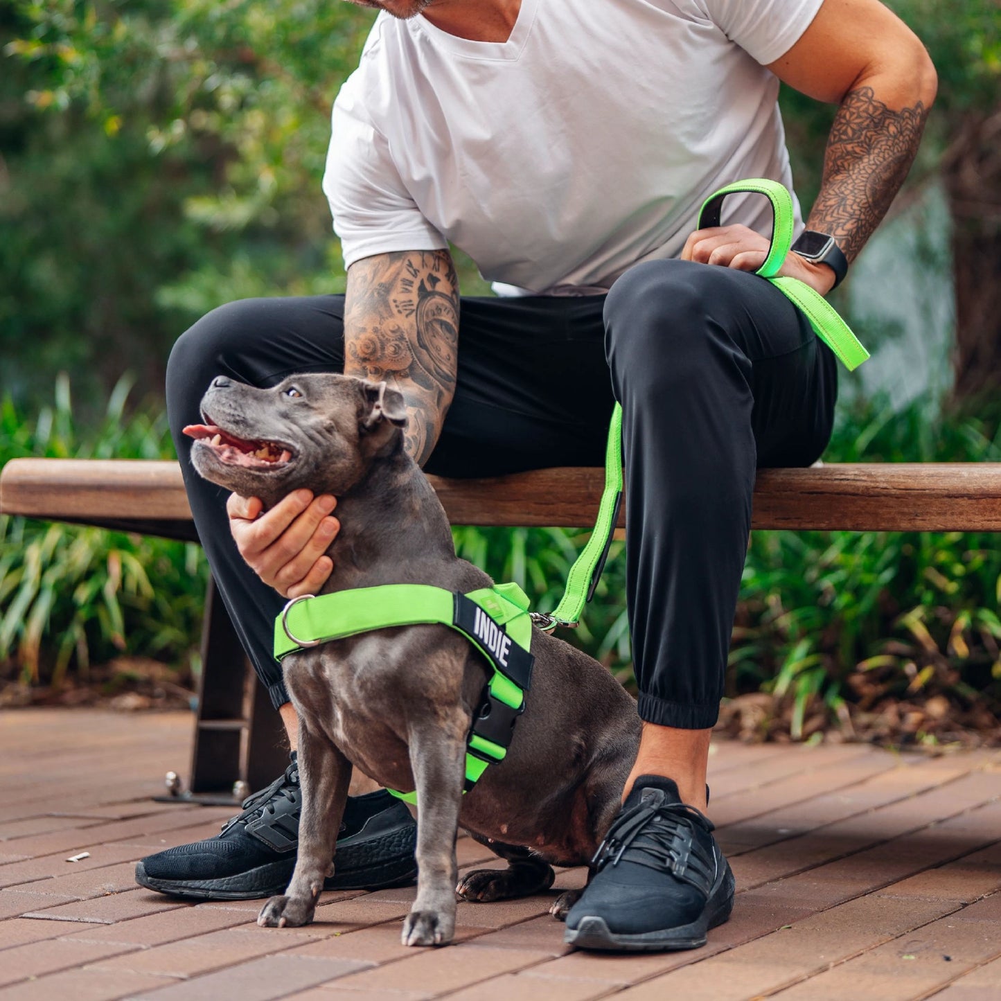 Personalised Dog Harness