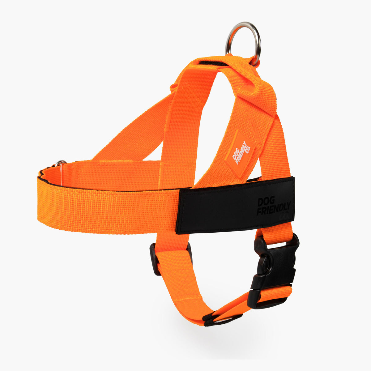 Personalised Dog Harness