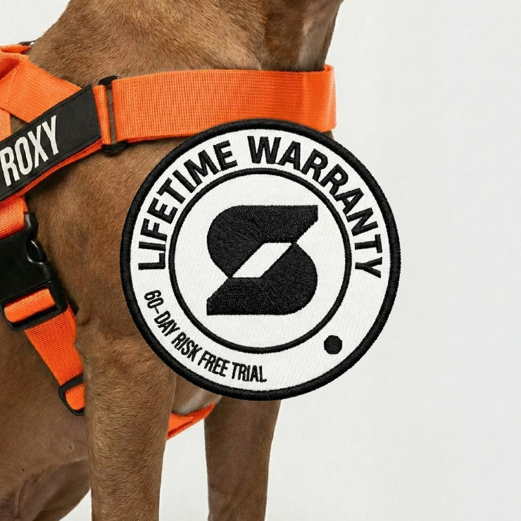 Personalised Dog Harness - Orange