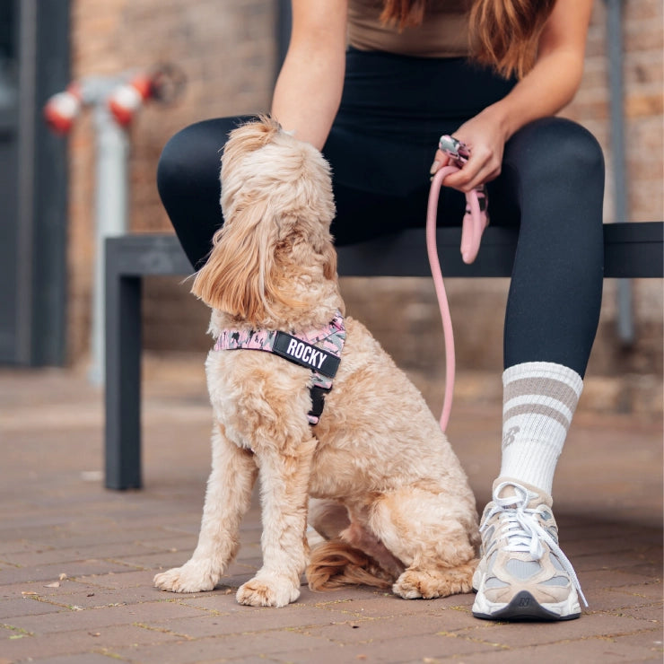 Personalised Dog Harness - Pink Camo