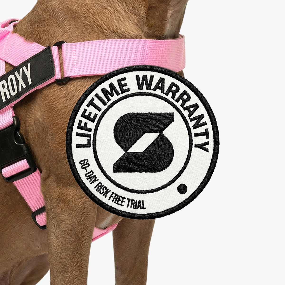 Harness - Pink