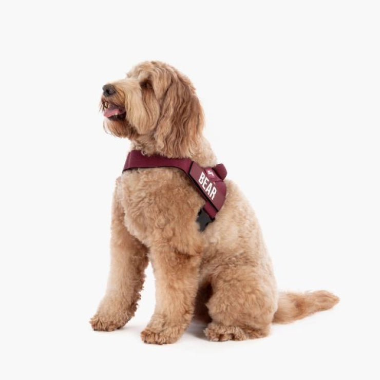 Personalised Dog Harness - Burgundy