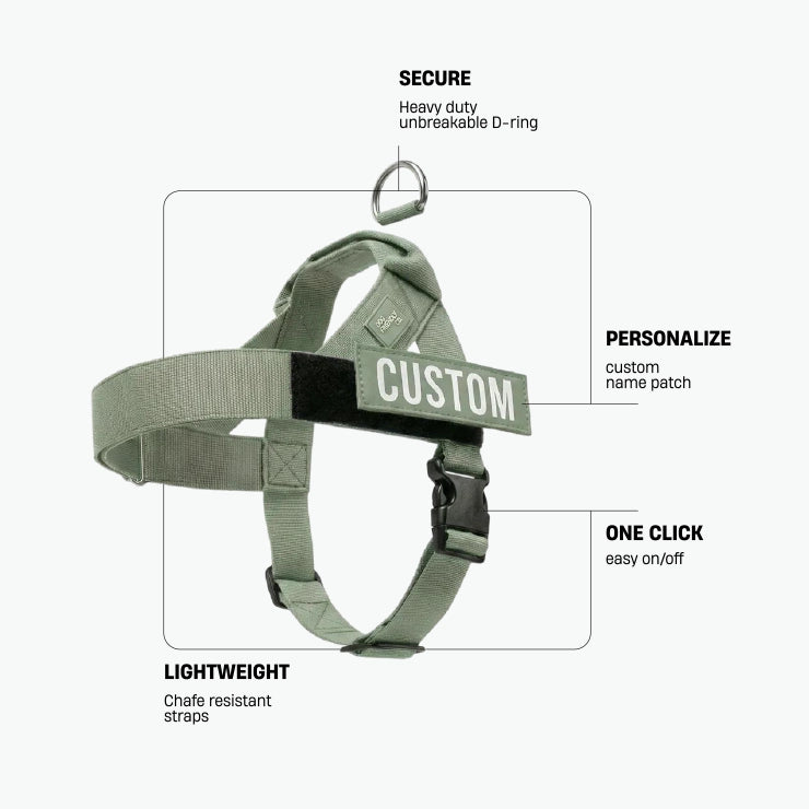 Personalised Dog Harness - Khaki