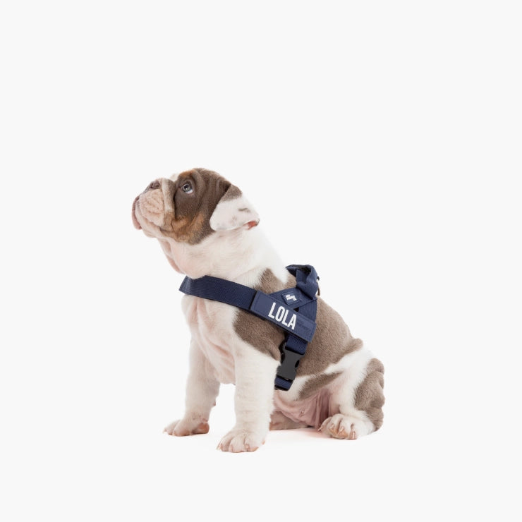 Personalised Dog Harness - Navy Blue