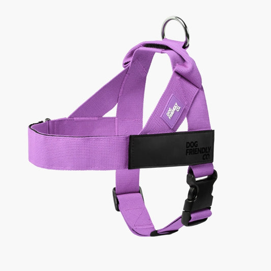 Personalised Dog Harness - Purple