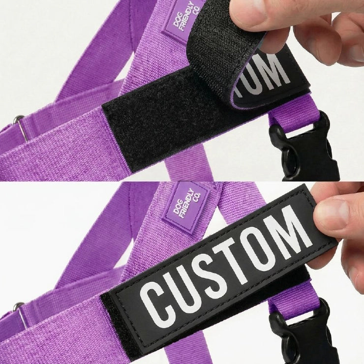 Personalised Dog Harness - Purple