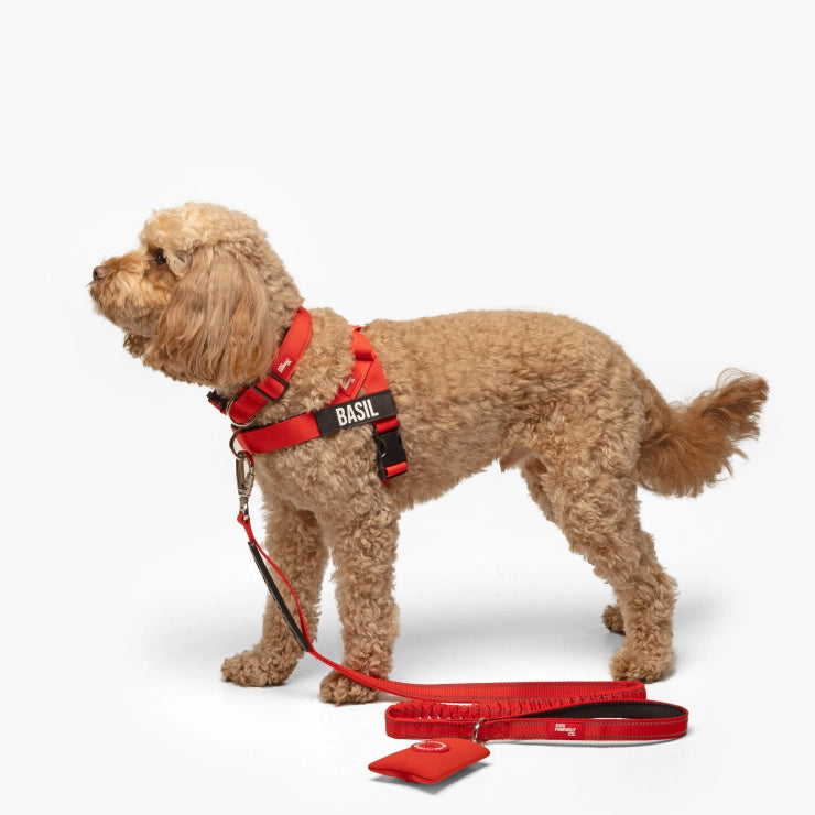 Personalised Dog Harness - Red