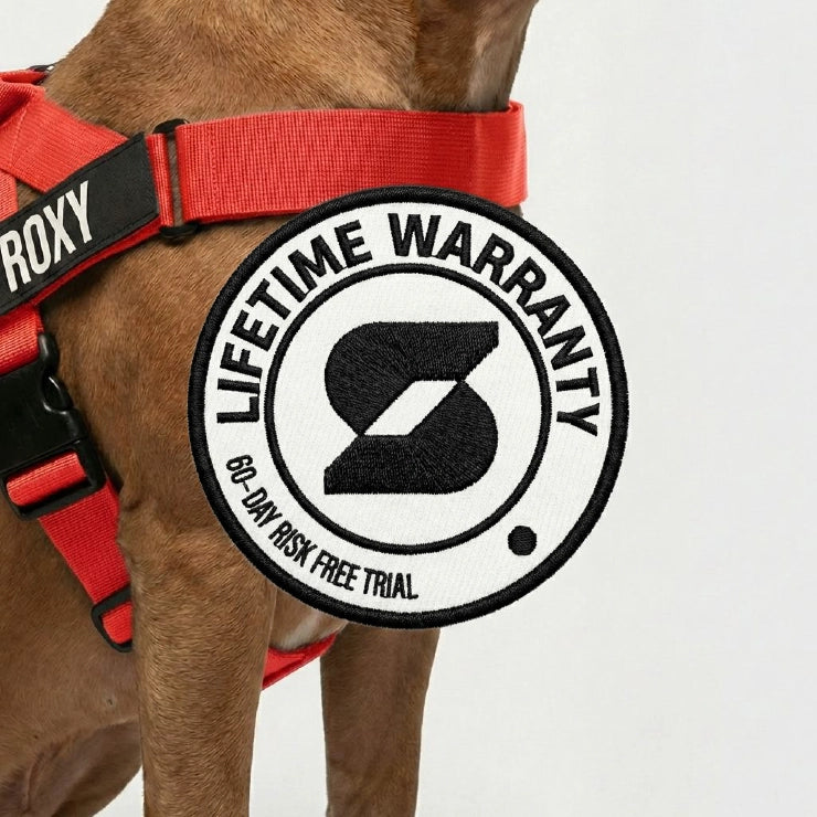 Personalised Dog Harness - Red