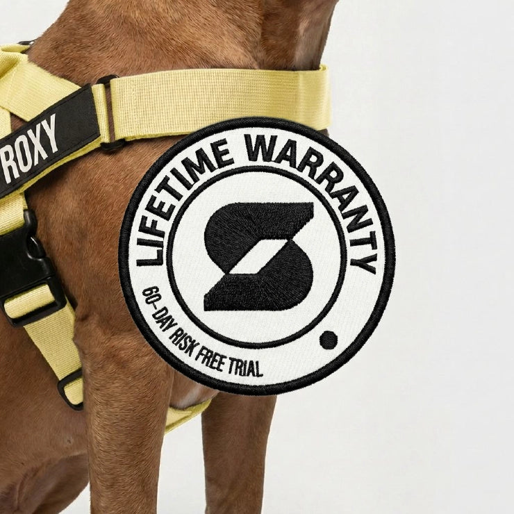 Personalised Dog Harness - Yellow
