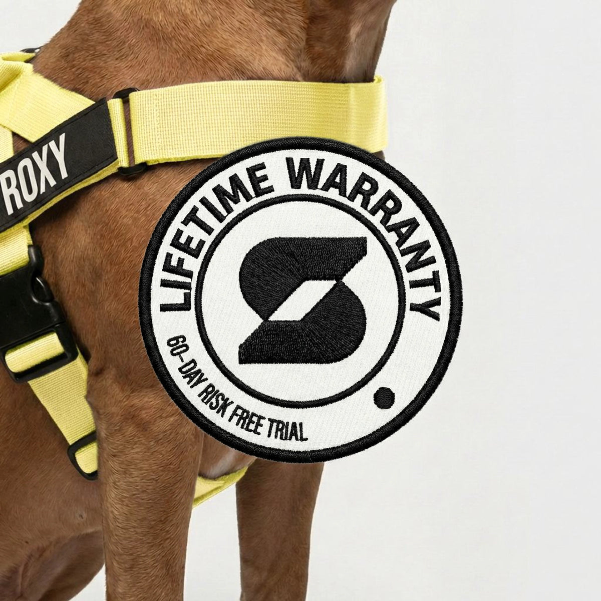 Personalised Dog Harness