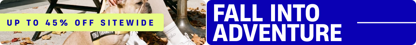 Promotional banner