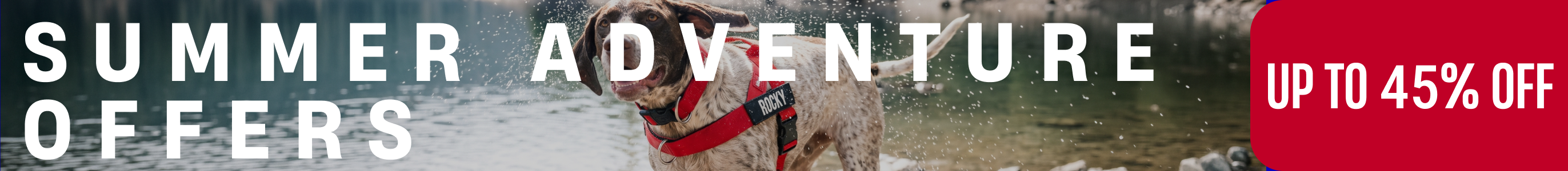 Promotional banner