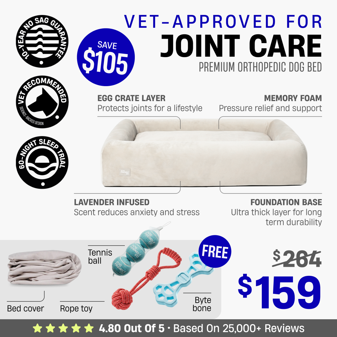 Premium Orthopedic Dog Bed + FREE Bed Cover & Pack Of Toys