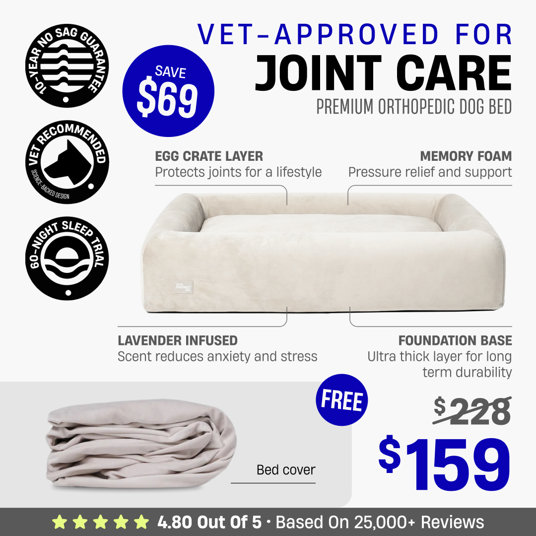 Premium Orthopedic Dog Bed + FREE Bed Cover