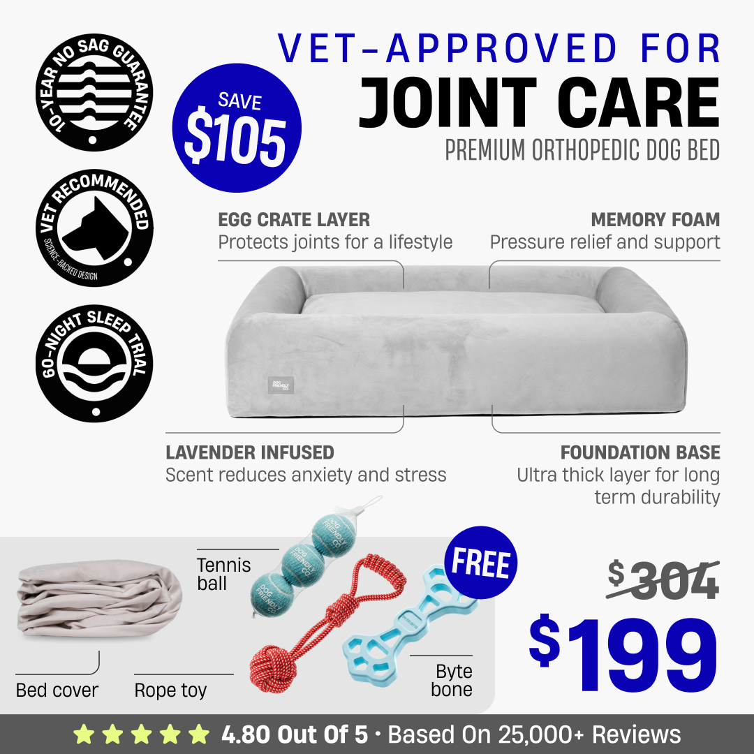 Premium Orthopedic Dog Bed + FREE Bed Cover & Pack Of Toys