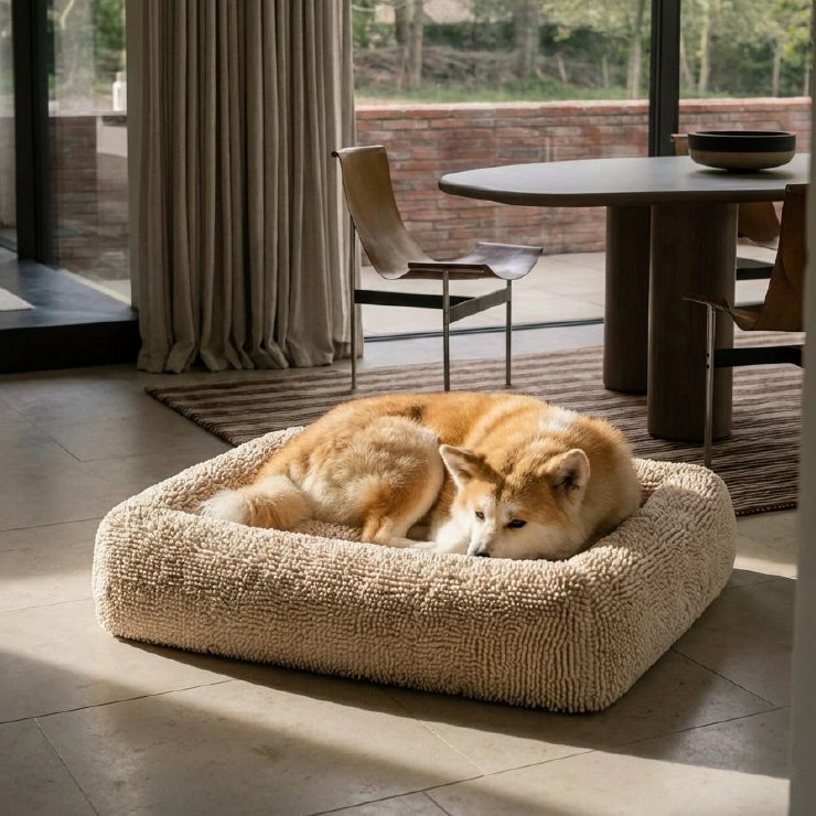 Plush Nap Easy Fit Dog Bed Cover - Cream