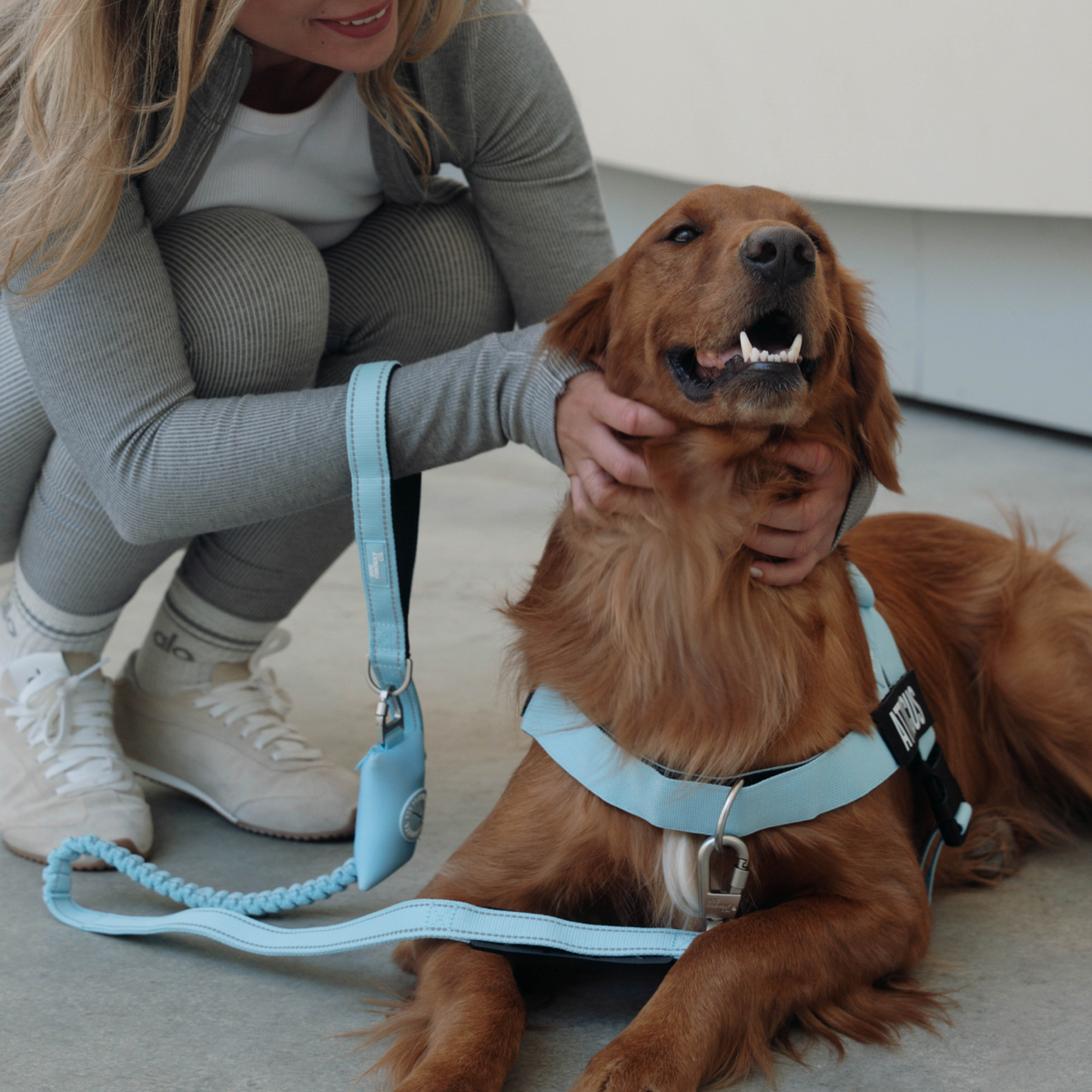 Sky Blue poop bag holder clipped to a dog leash during a walk