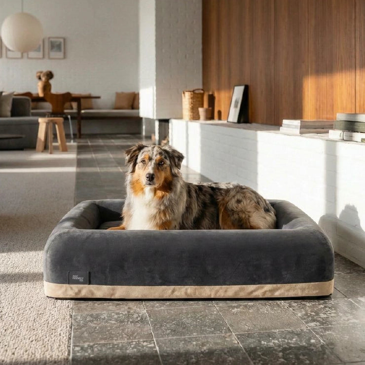 Replacement Cover - Charcoal