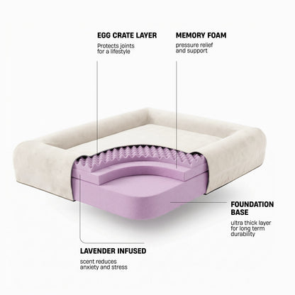 Premium Orthopedic Memory Foam Dog Bed - Beige (Large)