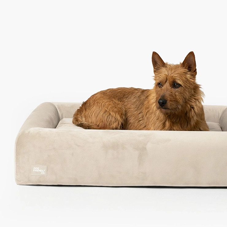 Premium Orthopedic Memory Foam Dog Bed - Beige (Large)