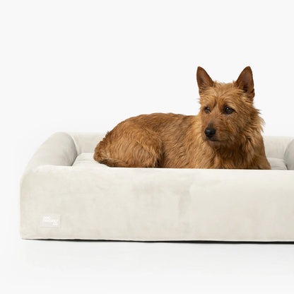 Premium Orthopedic Memory Foam Dog Bed - Beige (Medium)