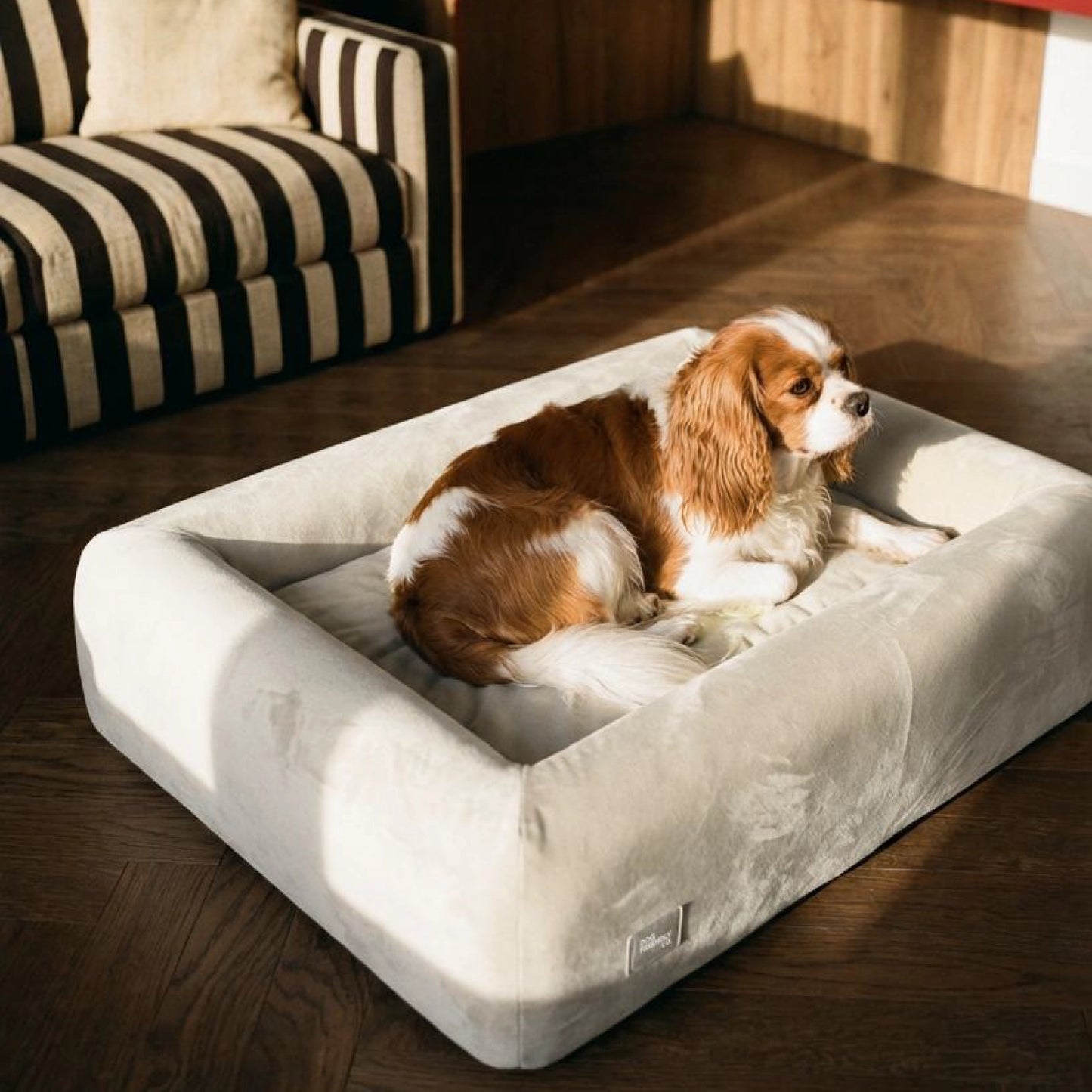 Premium Orthopedic Memory Foam Dog Bed - Beige (Large)