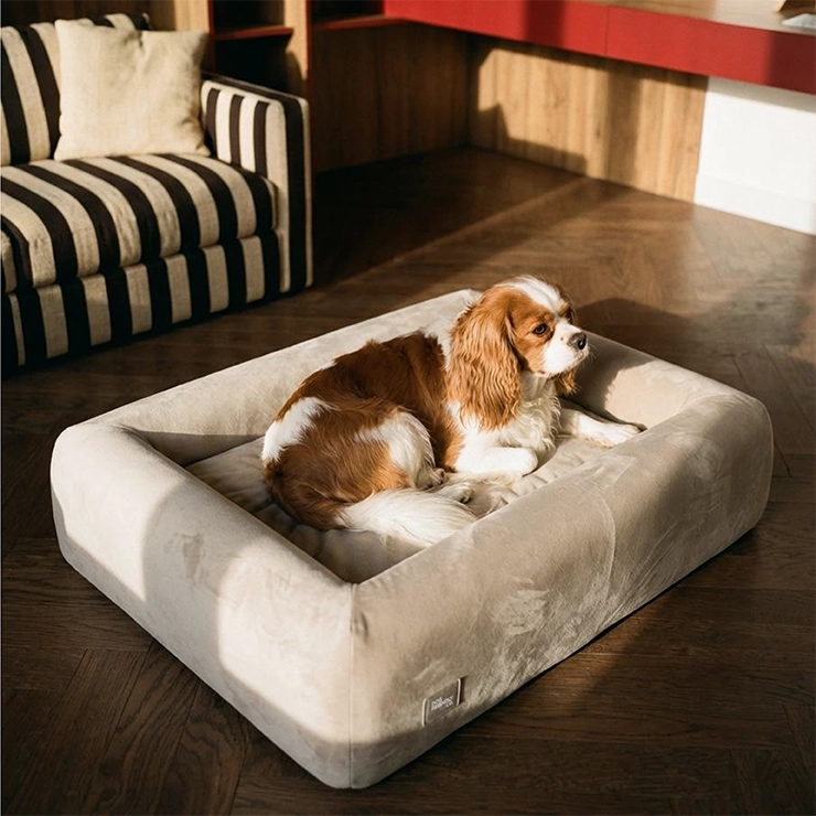 Premium Orthopedic Memory Foam Dog Bed - Beige (Small)