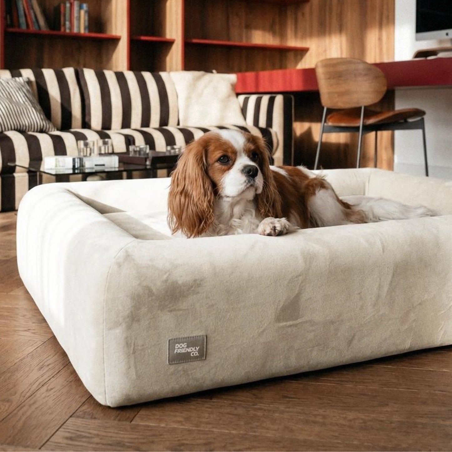 Premium Orthopedic Memory Foam Dog Bed - Beige