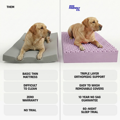 Premium Orthopedic Memory Foam Dog Bed - Brown Bouclé (Small)