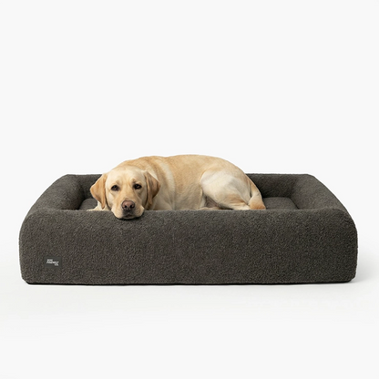 Premium Orthopedic Memory Foam Dog Bed - Brown Bouclé (Medium) (Preorder)