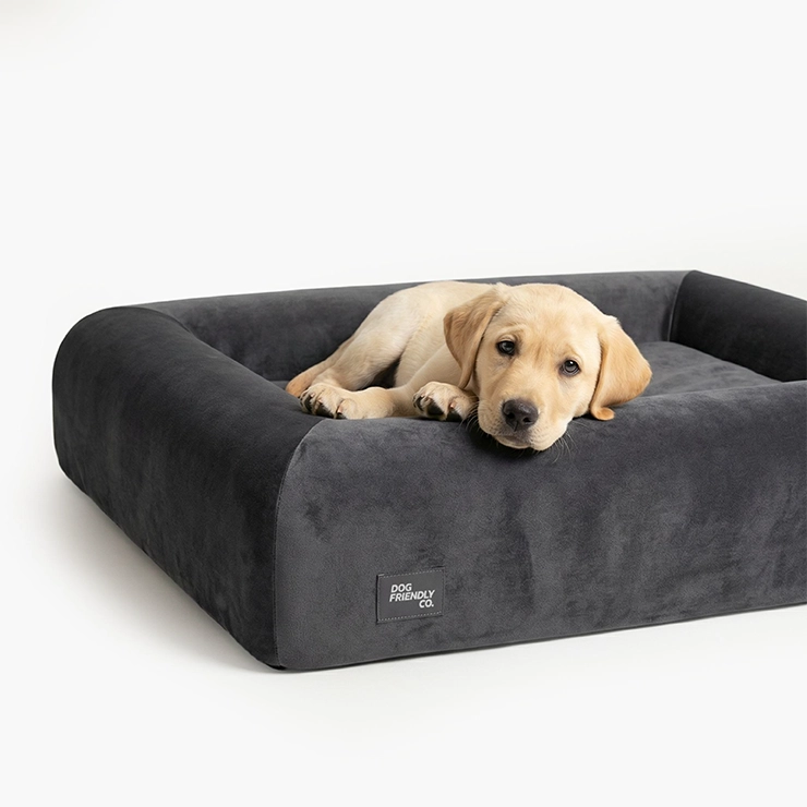 Premium Orthopedic Memory Foam Dog Bed - Charcoal (Medium)