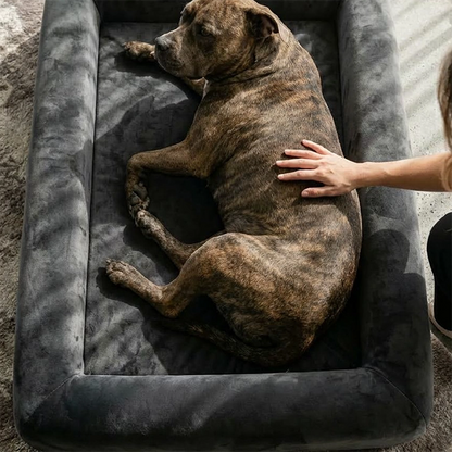 Premium Orthopedic Memory Foam Dog Bed - Charcoal (Large) (Preorder)