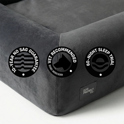 Premium Orthopedic Memory Foam Dog Bed - Charcoal (Medium)