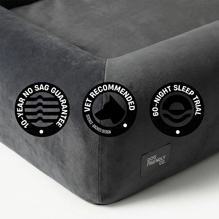Premium Orthopedic Memory Foam Dog Bed - Charcoal (Large) (Preorder)