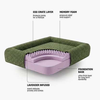 Premium Orthopedic Memory Foam Dog Bed - Green Bouclé